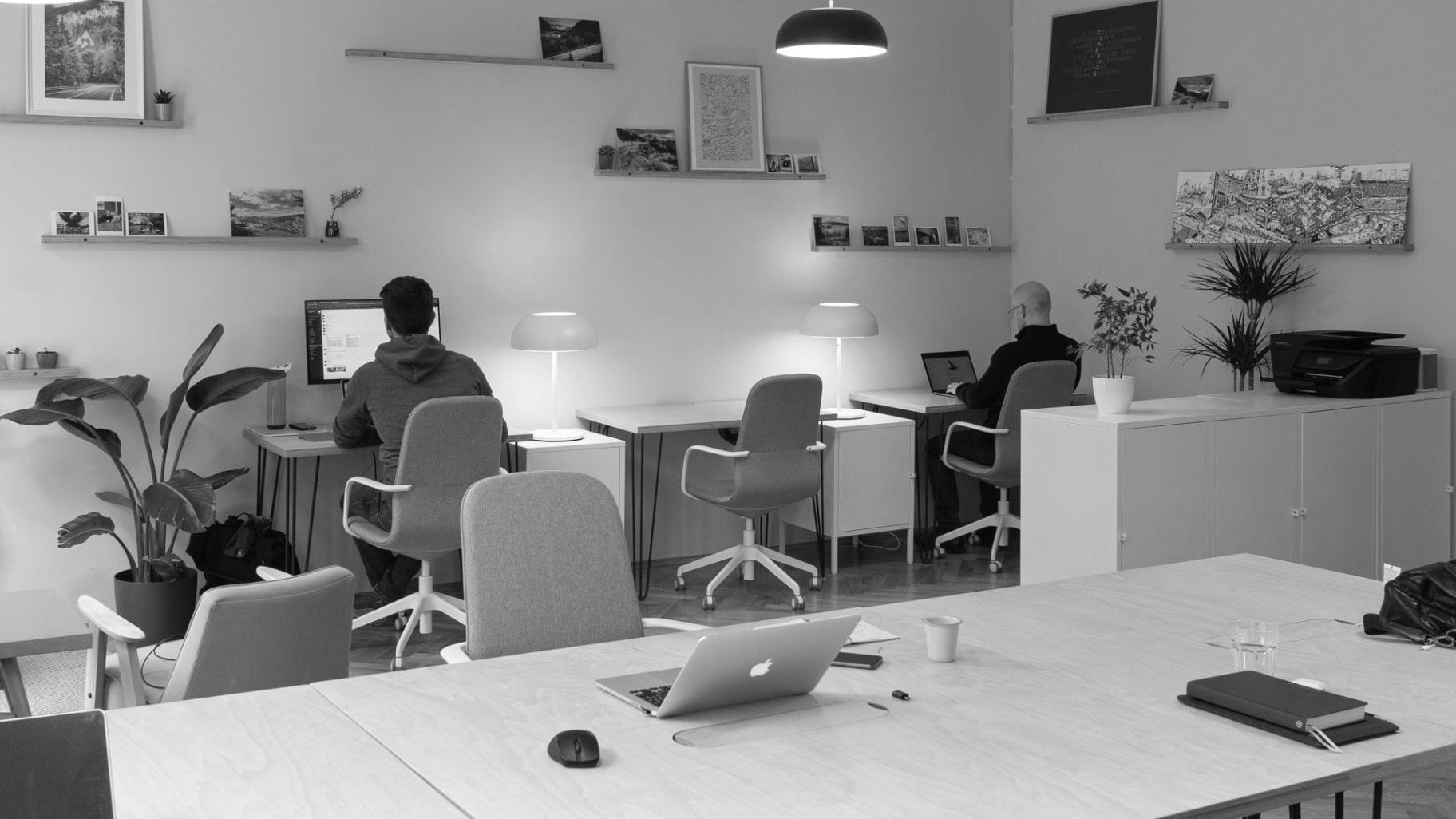 Einblick in Kursinhalte